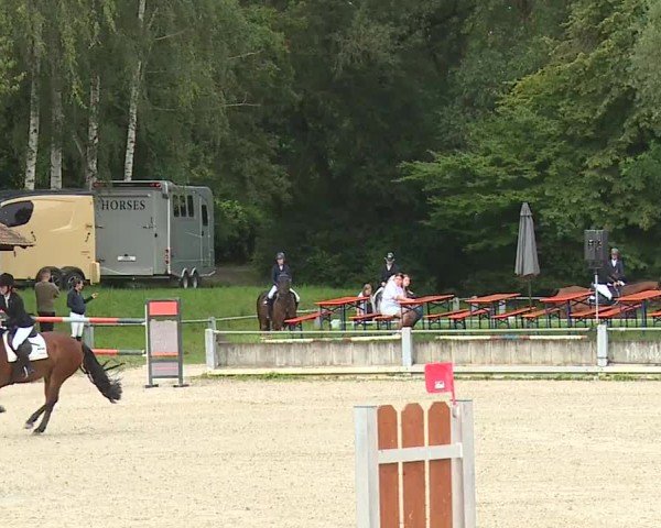 Reitturnier Grafenrheinfeld/Ufr. 2024