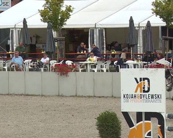 Reitturnier Grafenrheinfeld/Ufr. 2024