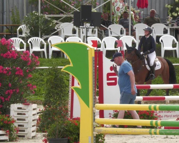 Reitturnier Oberderdingen 2024