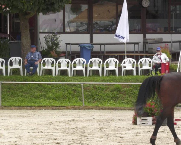 Reitturnier Oberderdingen 2024