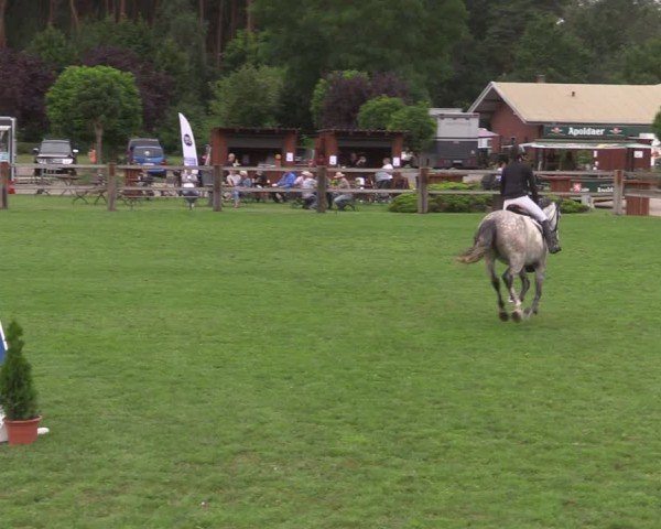 Reitturnier Niemegk / Neuendorf 2024
