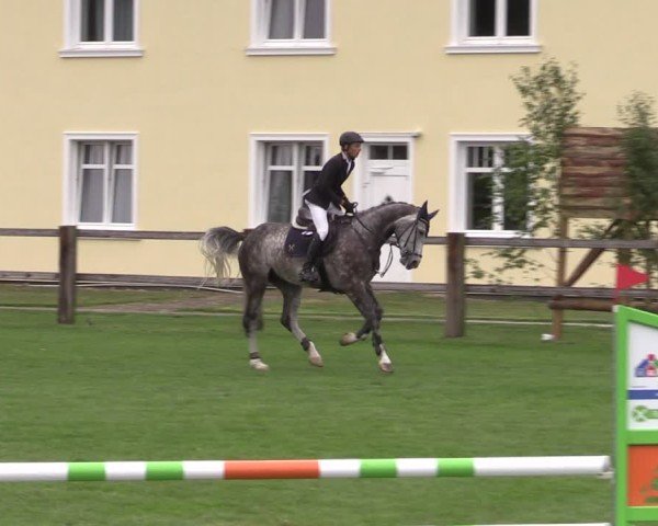 Reitturnier Niemegk / Neuendorf 2024
