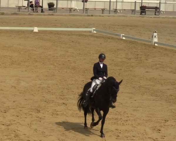 Reitturnier Castrop-Rauxel/Ober-Castrop 2024