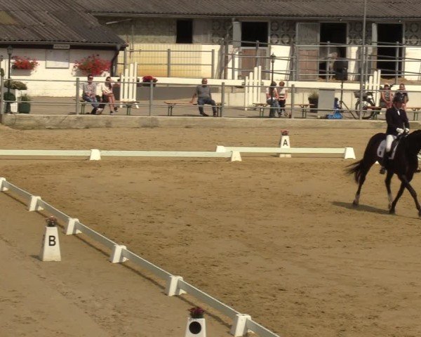 Reitturnier Castrop-Rauxel/Ober-Castrop 2024