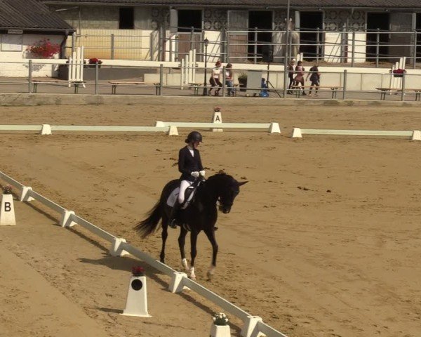 Reitturnier Castrop-Rauxel/Ober-Castrop 2024