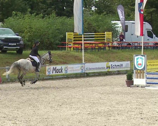 Reitturnier Grafenrheinfeld/Ufr. 2024