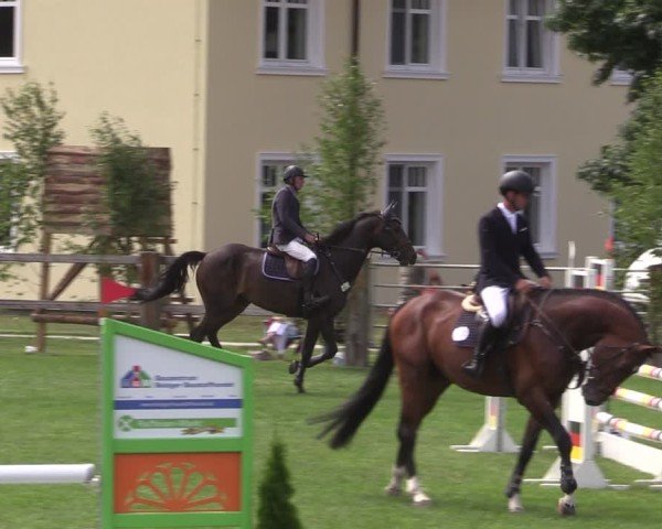 Reitturnier Niemegk / Neuendorf 2024