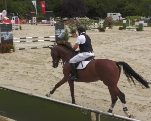 Reitturnier Oberderdingen 2024