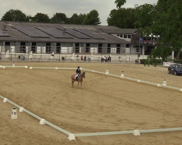Reitturnier Castrop-Rauxel/Ober-Castrop 2024