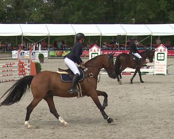 Reitturnier Grafenrheinfeld/Ufr. 2024
