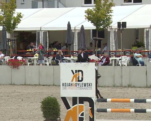 Reitturnier Grafenrheinfeld/Ufr. 2024
