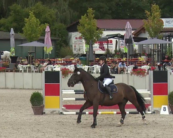 Reitturnier Grafenrheinfeld/Ufr. 2024