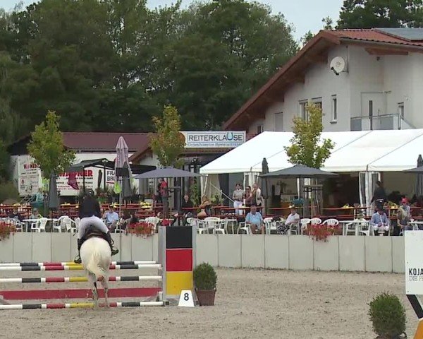 Reitturnier Grafenrheinfeld/Ufr. 2024