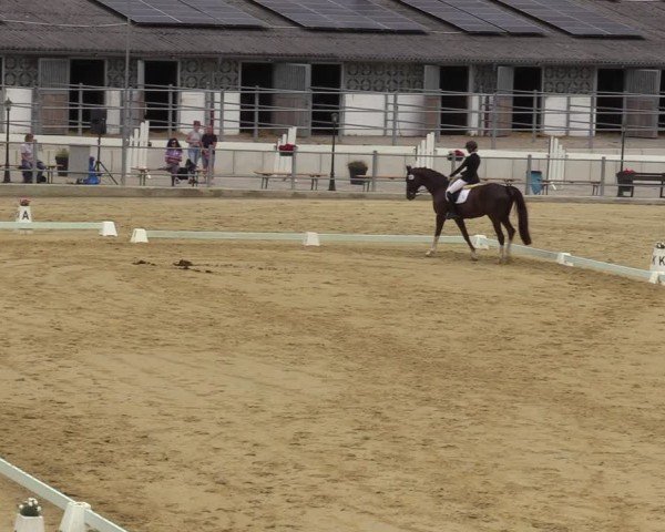 Reitturnier Castrop-Rauxel/Ober-Castrop 2024