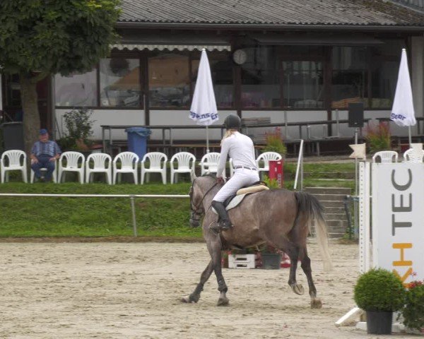 Reitturnier Oberderdingen 2024