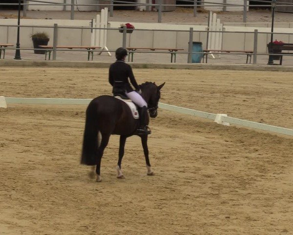 Reitturnier Castrop-Rauxel/Ober-Castrop 2024