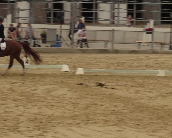 Reitturnier Castrop-Rauxel/Ober-Castrop 2024