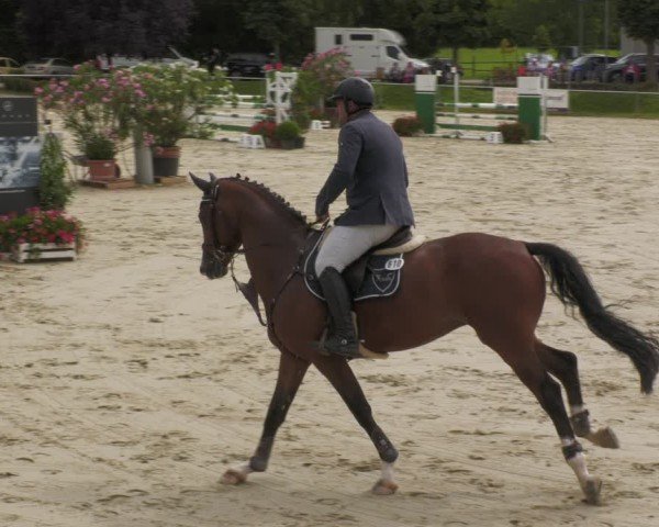 Reitturnier Oberderdingen 2024