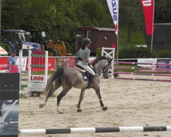 Reitturnier Oberderdingen 2024
