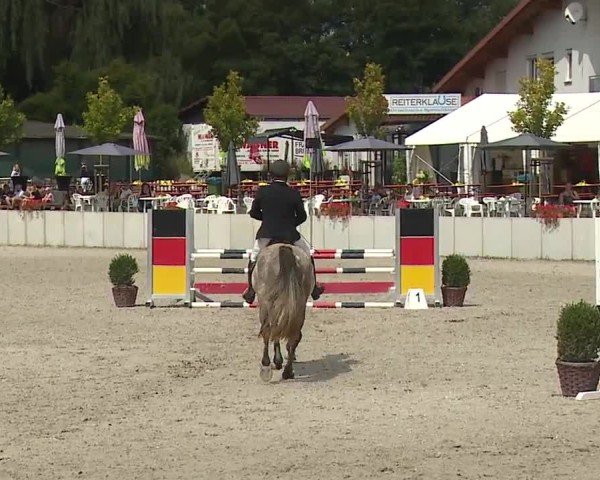 Reitturnier Grafenrheinfeld/Ufr. 2024