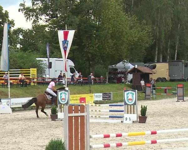 Reitturnier Grafenrheinfeld/Ufr. 2024