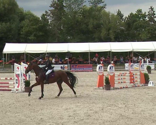 Reitturnier Grafenrheinfeld/Ufr. 2024