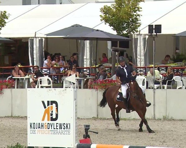 Reitturnier Grafenrheinfeld/Ufr. 2024