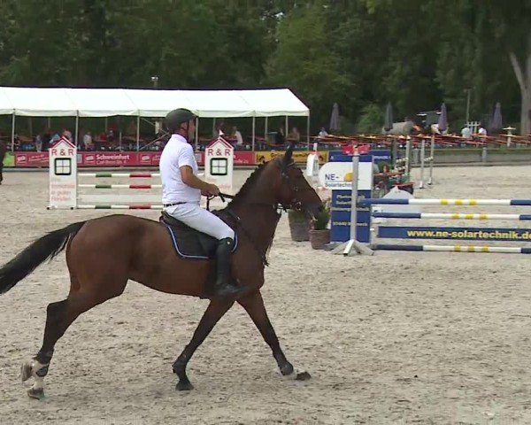 Reitturnier Grafenrheinfeld/Ufr. 2024