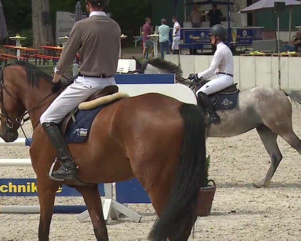 Reitturnier Grafenrheinfeld/Ufr. 2024