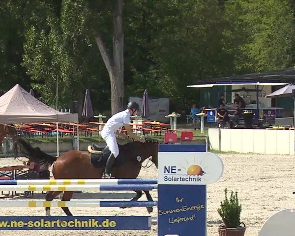 Reitturnier Grafenrheinfeld/Ufr. 2024