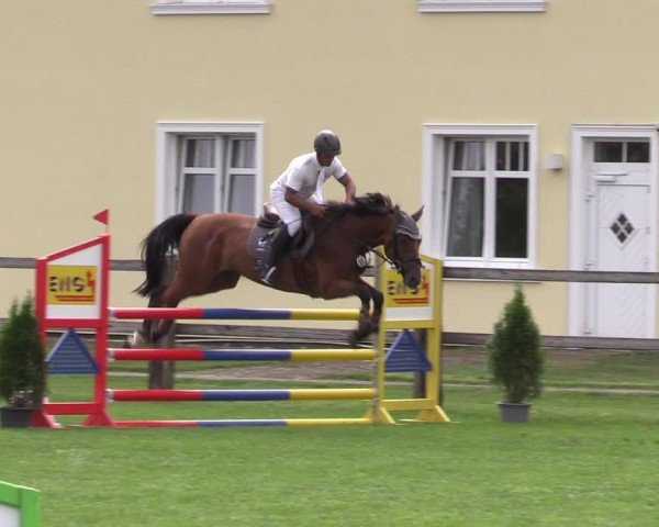 Reitturnier Niemegk / Neuendorf 2024