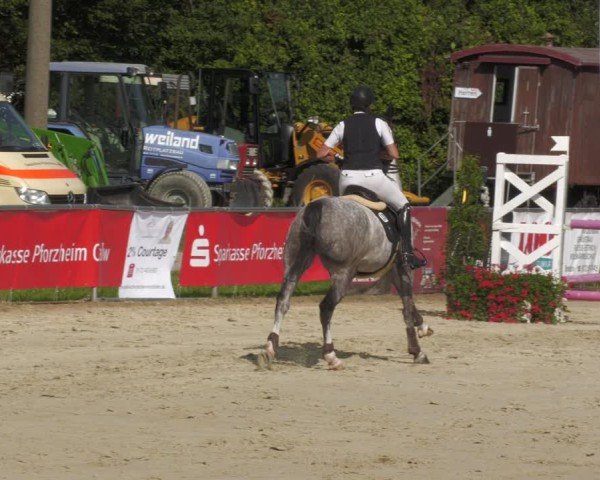 Reitturnier Oberderdingen 2024