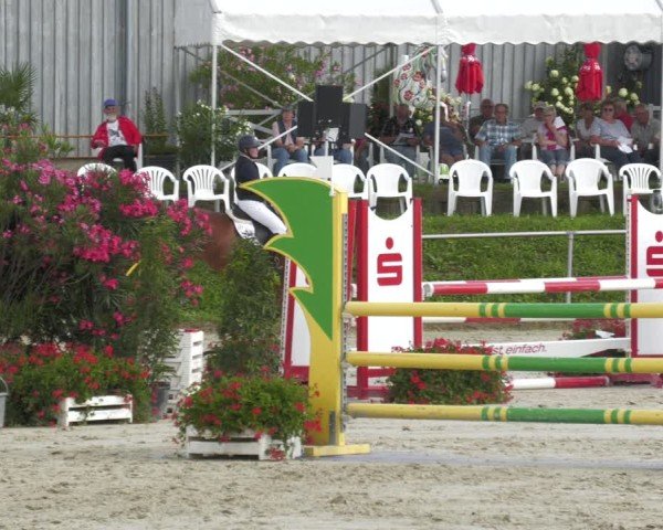 Reitturnier Oberderdingen 2024