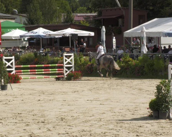 Reitturnier Oberderdingen 2024