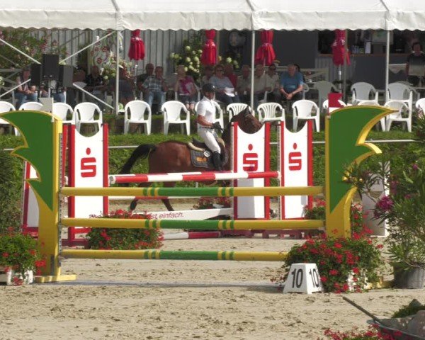 Reitturnier Oberderdingen 2024