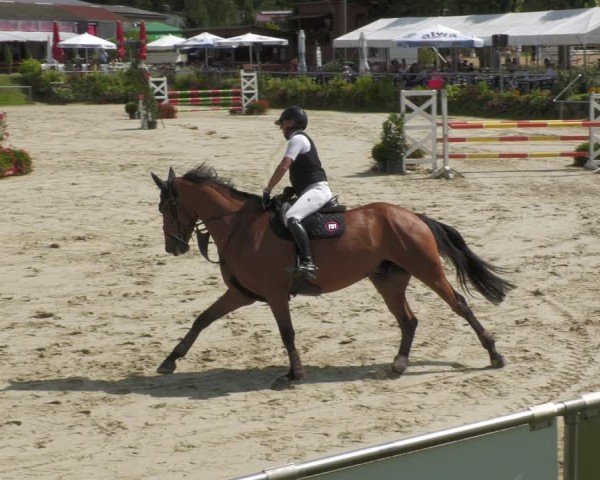 Reitturnier Oberderdingen 2024