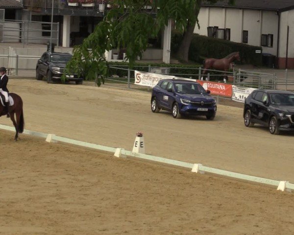Reitturnier Castrop-Rauxel/Ober-Castrop 2024