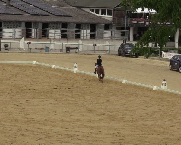 Reitturnier Castrop-Rauxel/Ober-Castrop 2024