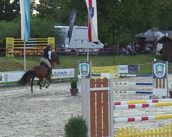 Reitturnier Grafenrheinfeld/Ufr. 2024