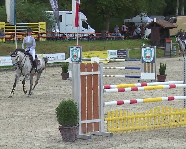 Reitturnier Grafenrheinfeld/Ufr. 2024