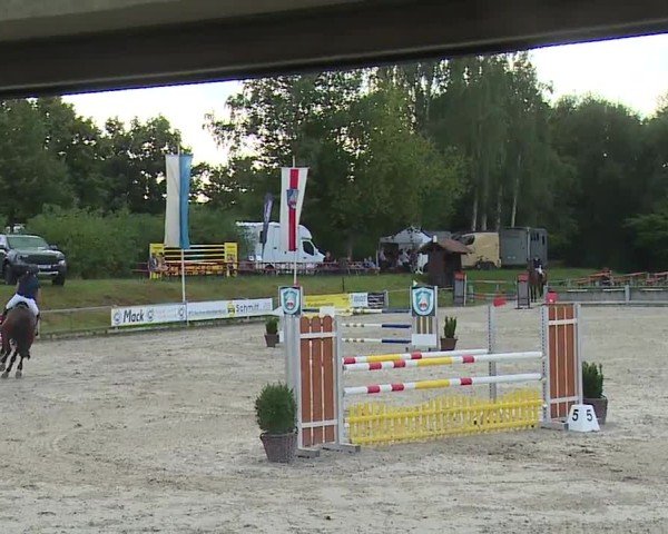 Reitturnier Grafenrheinfeld/Ufr. 2024
