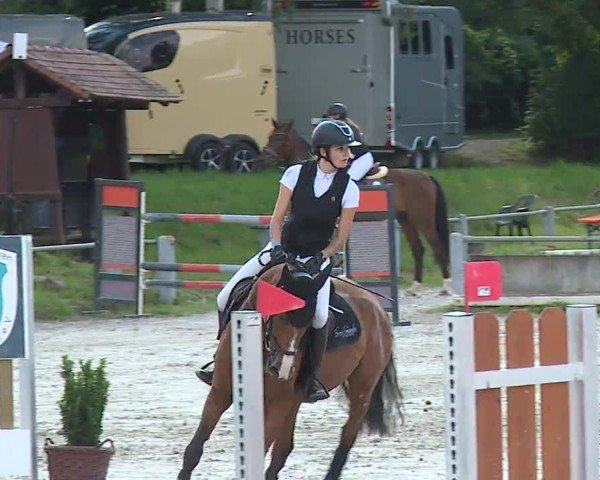 Reitturnier Grafenrheinfeld/Ufr. 2024