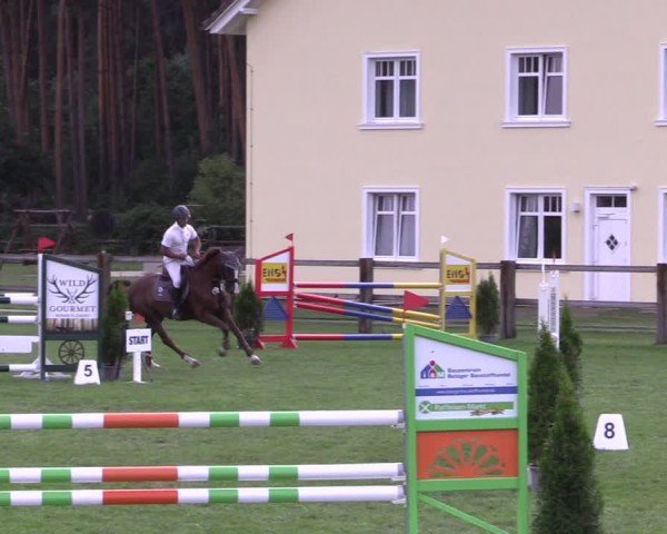 Reitturnier Niemegk / Neuendorf 2024
