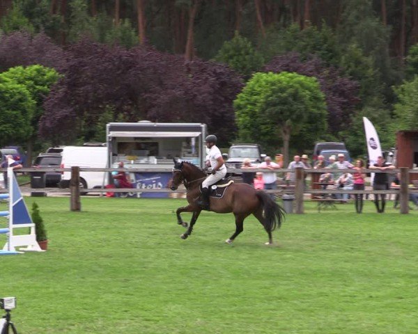 Reitturnier Niemegk / Neuendorf 2024