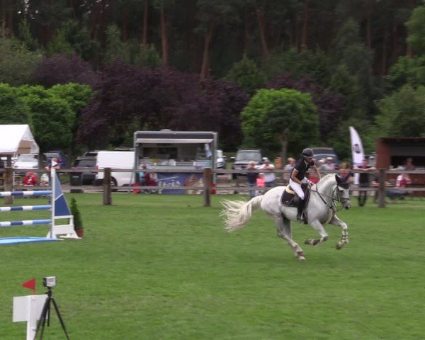 Reitturnier Niemegk / Neuendorf 2024