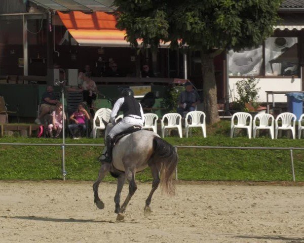 Reitturnier Oberderdingen 2024