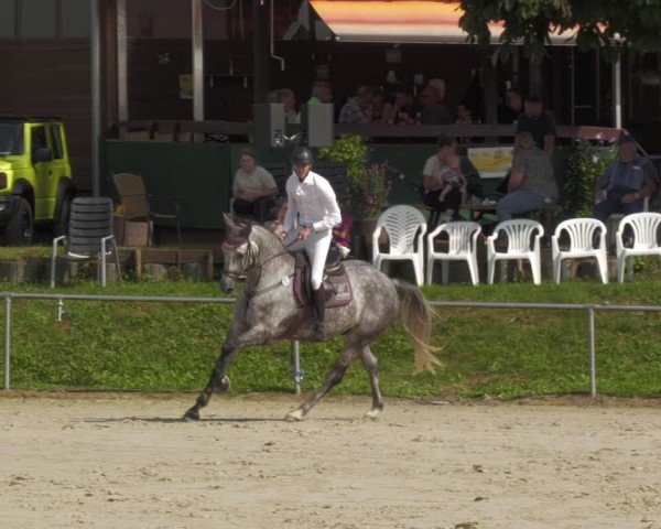 Reitturnier Oberderdingen 2024