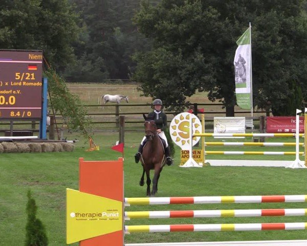 Reitturnier Niemegk / Neuendorf 2024