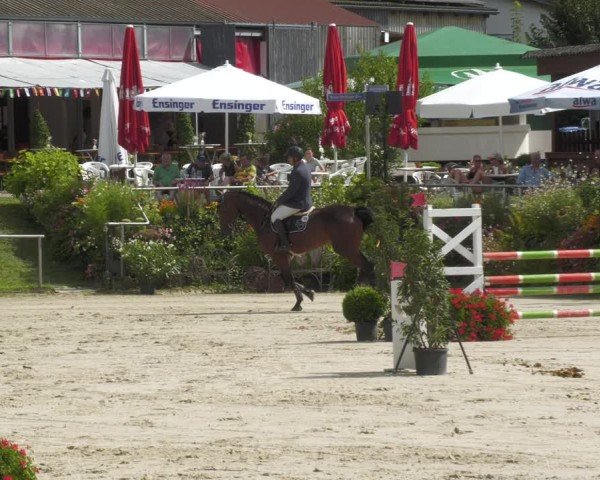 Reitturnier Oberderdingen 2024