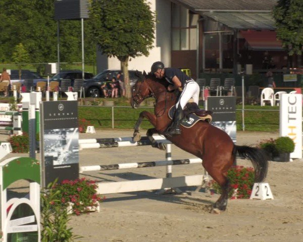 Reitturnier Oberderdingen 2024